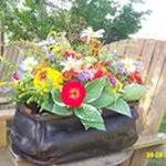 Lived in tampa fl, lake charles la, mooresville nc, spring hill fl. Jenny Pippin Facebook Twitter Myspace On Peekyou