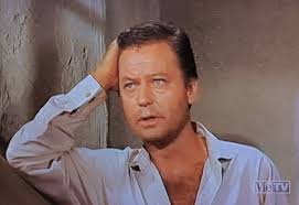 DeForest Kelley's roles in Star Trek and Bonanza