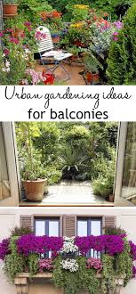 Urban Gardening Ideas How To Grow Plants Without A Garden Amazing Balcony Garden Ideas From A Floral Oasis To In 2020 Balcony Plants Urban Garden Apartment Garden