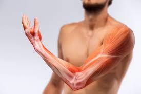 Muscle Function Changes After Stroke