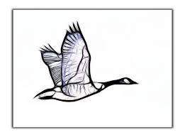 Black And White Goose Silhouette 5205544412 B951de7e6b Z Jpg 640 475 Goose Tattoo Birds Flying Tree Of Life Tattoo