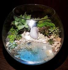 How To Make Fake Water For Terrarium Step By Step Terrarium Planting Guide Terrarium Water Terrarium How To Make Terrariums
