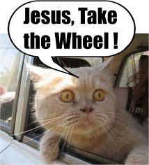 Jesus Take The Wheel Sophia Thomas Thomas Miller Sarah Chintomby Chintomby Mason Bahahahaha Bad Cats Funny Cats Animal Quotes