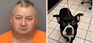 VICTORY: Heartbreaking Cruelty, Man Decapitates His Newly Adopted Dog