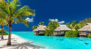 Tourism is fiji's main commodity. 12 Fascinating Things To Do On Your Trip To Fiji In December