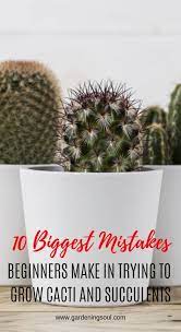 10 Biggest Mistakes Beginners Make In Trying To Grow Cacti And Succulents How To Grow Cactus Indoor Cactus Plants Cacti And Succulents