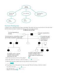 One of each set from each parent; Chapter14worksheets