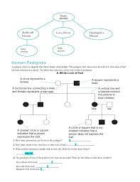 Explain how pedigrees are used to study human traits. 14 1 Human Chromosomes Answer Key Pdf Chapter14worksheets Free Download Chapter 14 2 Human Chromosomes Answer Key Pdf Copyright Code Jajang Nugroho