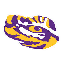 Tiger drawing for beginner #tiger_drawing : Lsu Decal Tiger Eye 3