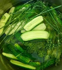 Senf Schnellgurken Rezept Frag Mutti Rezept Gurken Einlegen Rezept Schnellgurken Rezept Gurke