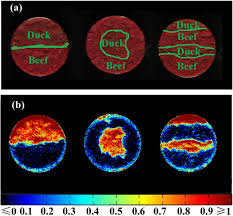 However, they suffer from a common issue with deep learning typical deep learning image classifiers have fully connected layers at the end of the network. Hyperspectral Imaging For A Rapid Detection And Visualization Of Duck Meat Adulteration In Beef Springerlink