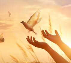 ‫الإسلام‬‎ ile ilgili görsel sonucu