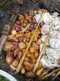 Potato is a cooking ingredient item used in recipes to create food items. Ifo Yummy Work In Progress Tongan Earth Oven Facebook