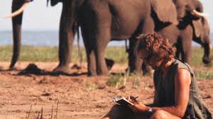 Save the Elephants - Securing a future ...