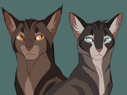 Climb Warrior Cat Drawings Warrior Cat Oc Warrior Cat Memes