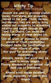 Witchy Tip Almonds Witchcraft Spell Books Spirit Guides Meditation Magical Herbs