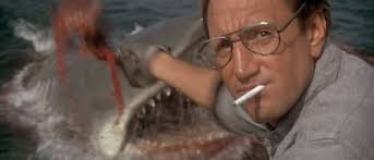 16 Foot Great White Spotted off of Manasquan Inlet