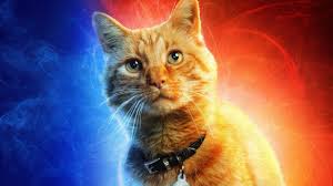 Evil's cat is named mr. The 12 Best Movie Cats Of All Time Indiewire Critics Survey Indiewire