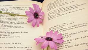 10 Frasi Con Alcune Figure Retoriche E Spiegazione Delle Figure Retoriche