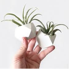 Maybe you would like to learn more about one of these? Small Geometric Planter Air Plant Holder Desk Planter Home Decor New Home Gift Housewarming Gift Succulent Planter Modern Planter