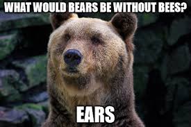 We have the biggest collection of the unique corny jokes that you will not find anywhere else. Corny Joke Quotes Quotesgram