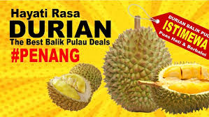 eng subs durian hor lor balik pulau (shancheng durian) casting kerapu di kawasan pantai pasir panjang, pulau betong, balik pulau durian poc di ppm yan, kedah sudah mula gugur. Durian Balik Pulau Home Facebook