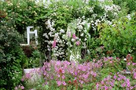 We did not find results for: Plants For A Traditional Cottage Garden