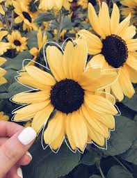 Find over 100+ of the best free yellow aesthetic images. Pastel Blue Aesthetics Wiki Art Aesthetic Exploration Amino