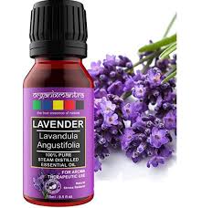 Our team of experts tried different oil brands to bring the best essential oil brands in india to you. Top 12 Best Lavender Oil Brands In India With Prices