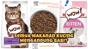 Check spelling or type a new query. Makanan Kucing Yang Mengandung Babi Aku Bedah Semuanya International Journal Elsv Sciencedirect Youtube