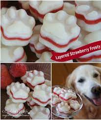 15 Homemade Dog Treats Dog Treat Recipes Homemade Dog Food Dog Food Recipes