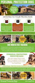 Beyond the basic dog & people training. Pin On My Heart Burns For The Chicago Lights