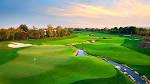 Jumeirah Golf Estates (Earth) ⛳️ Book Online • golfscape™
