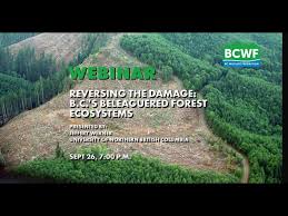 Reversing the damage: BC's forest ecosystems