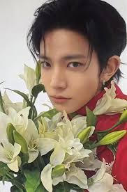 DUTCH SEA OF FLOWERS🥰 #beautifulchallenge