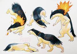 Avanii — Typhlosion is one of my favourite Pokémon and I...