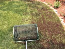 But adding synthetic fertilizers now to a relatively sterile soil will prolong the benefit rather than speed it up. Topdressing Lawns With Soil3 Compost Video Lawn Soil Lawn Care Tips Lawn Care