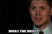 We did not find results for: Im A Cotton Headed Ninny Muggins Gifs Get The Best Gif On Gifer