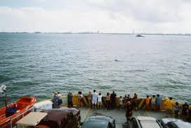 Maybe you would like to learn more about one of these? Harbor Tours Take Time To See Some Dolphins Galveston Island Guide