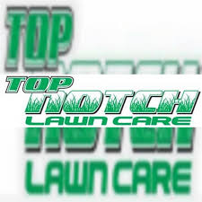 You can rely on us to take care of your landscape so that you can focus on the things that are important to you. Ppt Important Lawn Care Services Powerpoint Presentation Free Download Id 7581481