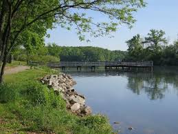Its wooded hilly terrain surrounds beautiful kent lake. Day At The Beach Review Of Kensington Metropark Milford Mi Tripadvisor
