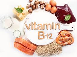 Hasil gambar untuk vitamin b12
