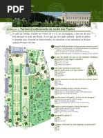 Image result for Tridactyle scottellii