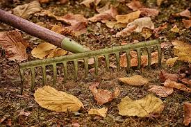 Now that you have the right equipment, it's time to figure out when you're going to tackle this. The Best Ways To Use Fall Leaves In The Garden The Old Farmer S Almanac