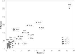 Image result for Chamaecrista zambesica