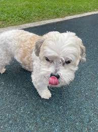 On eucalyptus road woorree