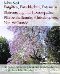 Entgiften Entschlacken Entsauern Blutreinigung Mit Homoopathie Pflanzenheilkunde Schusslersalzen Naturheilkunde Robert Kopf E Book Legimi Online
