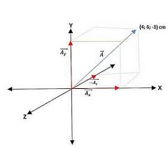 Allora si pone definizione 1.3. Vector Algebra Nozioni Di Base Magnitudini Vettori Thpanorama Diventa Meglio Oggi