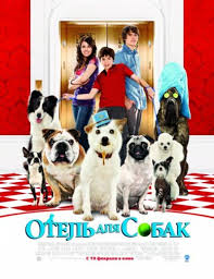 20 luchshih filmov pro sobak factik ru