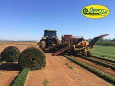 One of our most popular products is soil3 organic compost, delivered in a cubic yard bigyellowbag. 48 Our Farms Stores Ideas In 2021 Sod South Carolina Fields